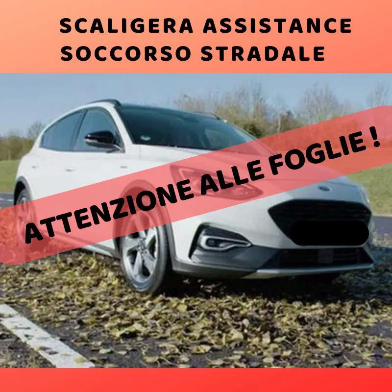 Scivolamento su foglie