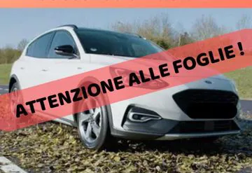 Scivolamento su foglie